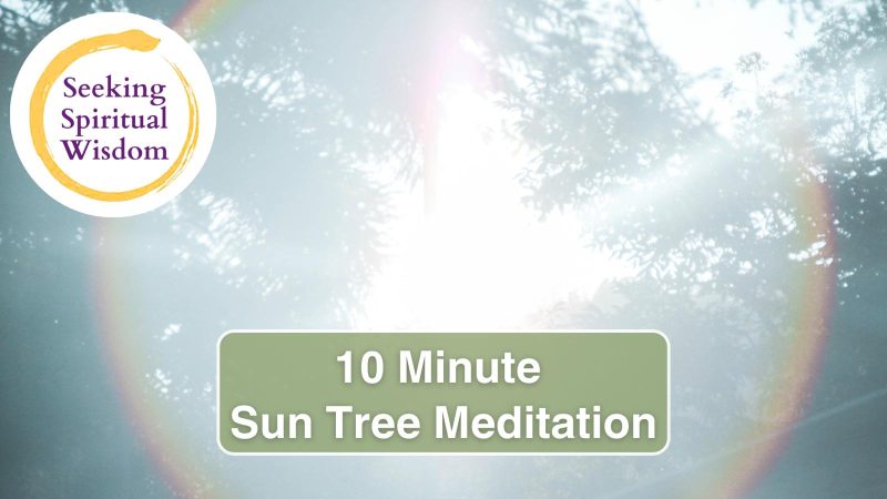 Light codes bursting through a tree to empower and enlighten